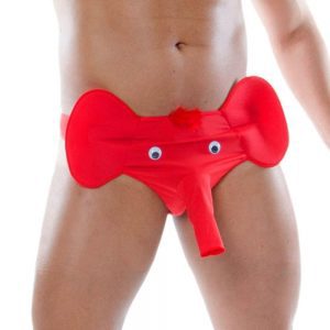 Cueca Elefante